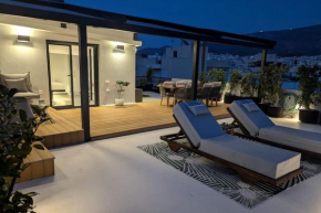 Loft with Panoramic View near the center of Athens